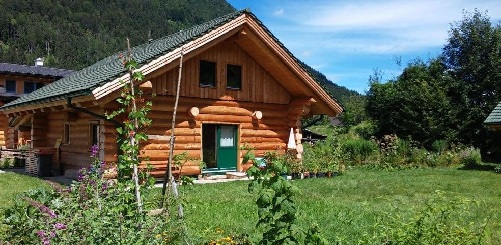 Wild Living Academy